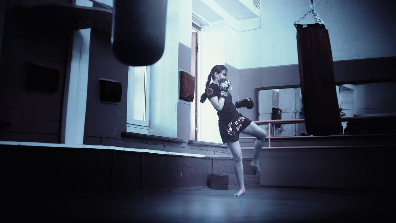 Academias com Muay Thai em Juiz de Fora